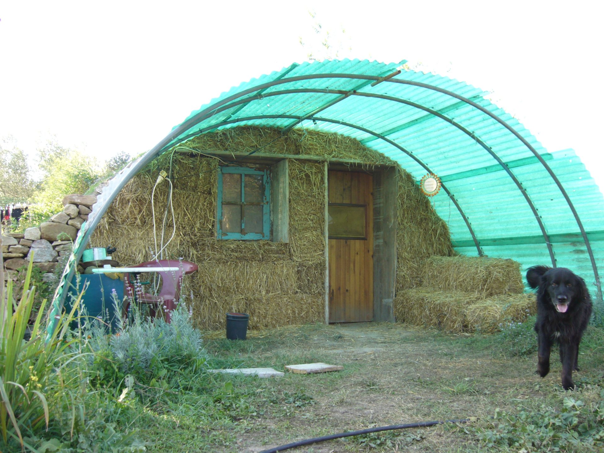 Structure arquée couverte de tôles ondulées vertes translucides, abritant des murs en bottes de paille ; fenêtre bleue, porte en bois, chien noir.